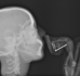 image02.png