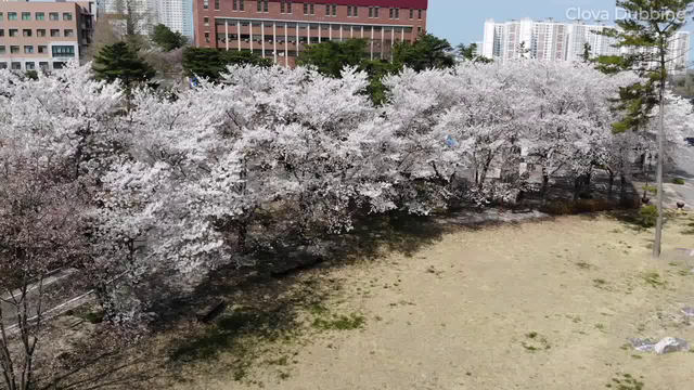 선린대학교 재학생 코로나19 격려 영상에 대한 동영상 캡쳐 화면