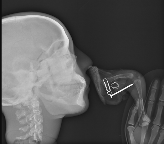 image02.png