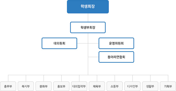 학생회장 아래에는 학생부회장이 있고 그 밑에는 대의원회, 운영위원회, 동아리 연합회가 있으며 그 아래에는 총무부,학술부,문화부,복지부,문화부.홍보부,대회협력부,체육부,소통부,디자인부,생활부,기획부가 있습니다.