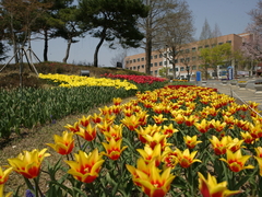 선린대학교 이민자들의 한국사회 정착에 앞장서다