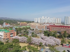 선린대학교 산학협력단, ‘2023년 울릉군 청년예비창업..