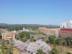 선린대학교 평생교육원 지역 성인 학습자 대상 바리스타 ..