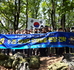 20170428_115229.jpg