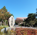 20191012_123147.png