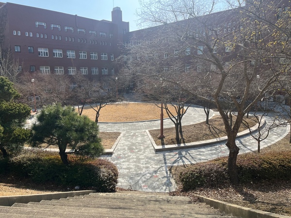 마로니에 공원 (2).jpg